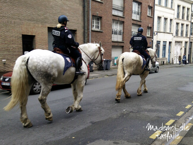 police à cheval Lille