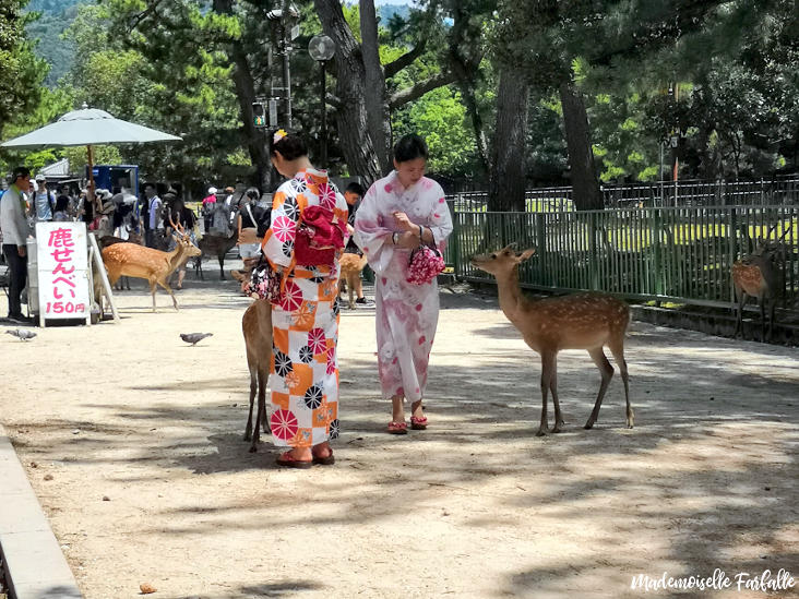 Une journée à Nara