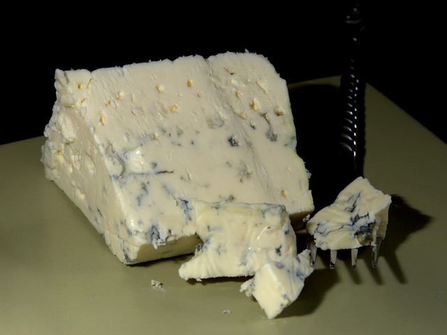fromage bleu danois , moisissure bleue , moule , moisissure noble , produit laitier , alimentation